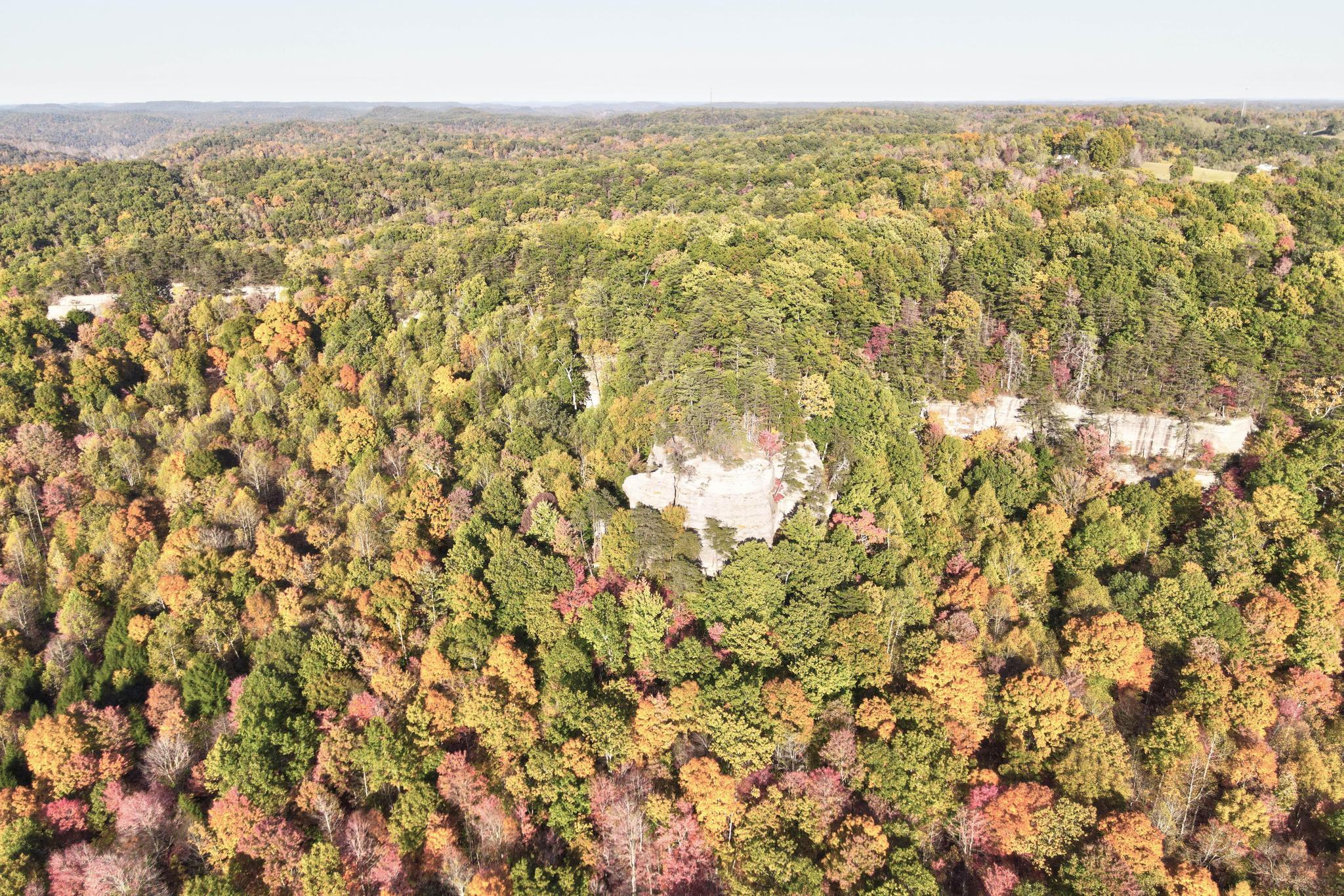 683 Adams Branch Road Frenchburg, KY 40322 - Photo 2 of 26 Cliff
