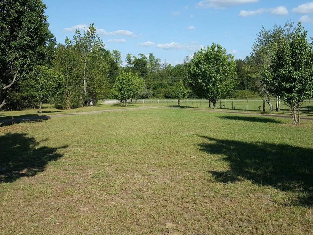 4716 Bluff Road Allendale, SC 29810 - Photo 29 of 31 Gallery Image 29