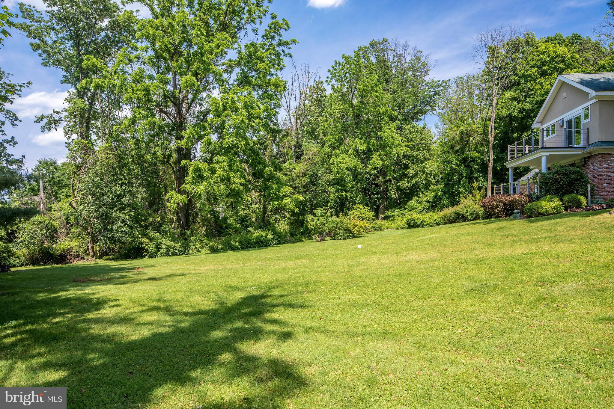 1318 North Spring Mill Road Villanova, PA 19085 - Photo 35 of 40 Rear yard