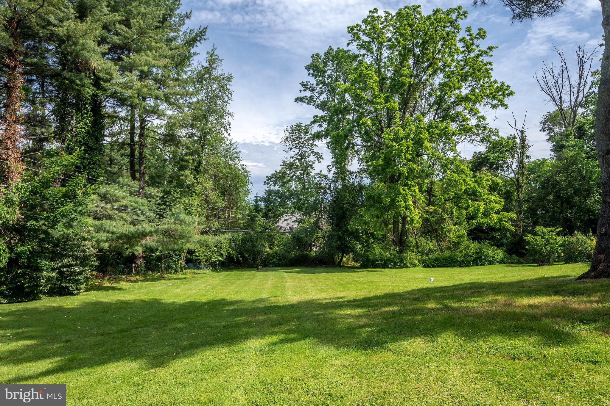 1318 North Spring Mill Road Villanova, PA 19085 - Photo 36 of 40 Rear yard