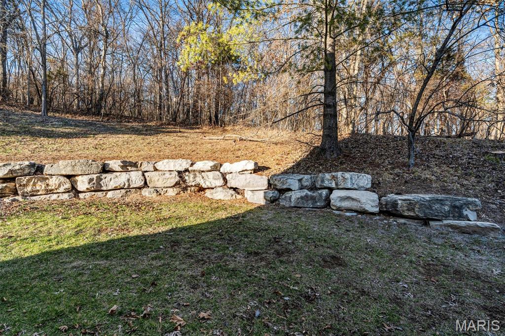 433 Summit Tree Court Fenton, MO 63026 - Photo 17 of 22