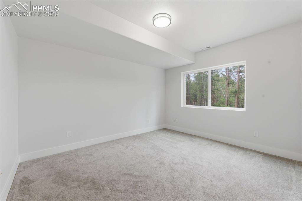 294 Southpark Road Florissant, CO 80816 - Photo 22 of 30