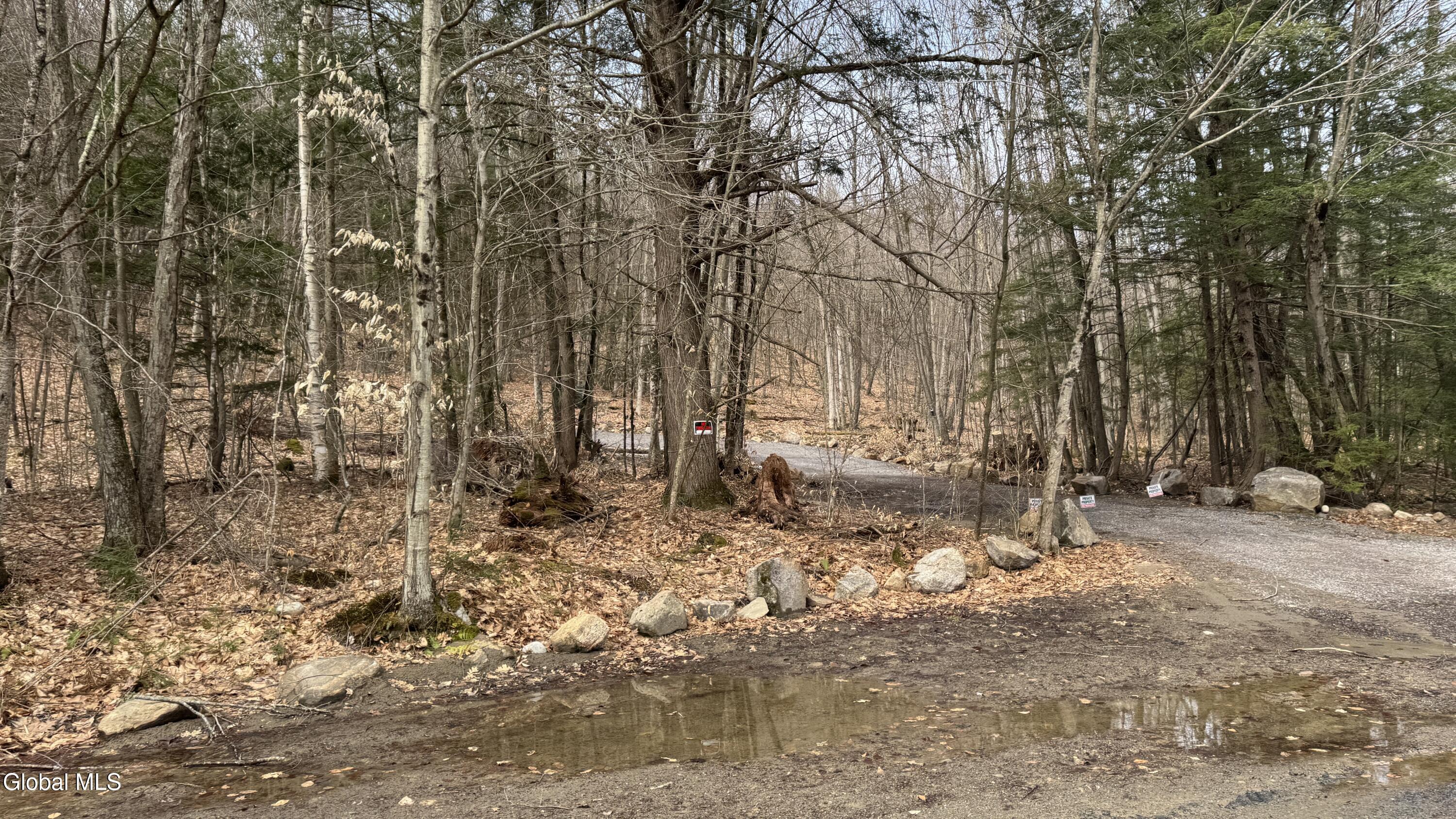4 Spring Woods Diamond Point, NY 12824 - Photo 2 of 17 IMG_7989