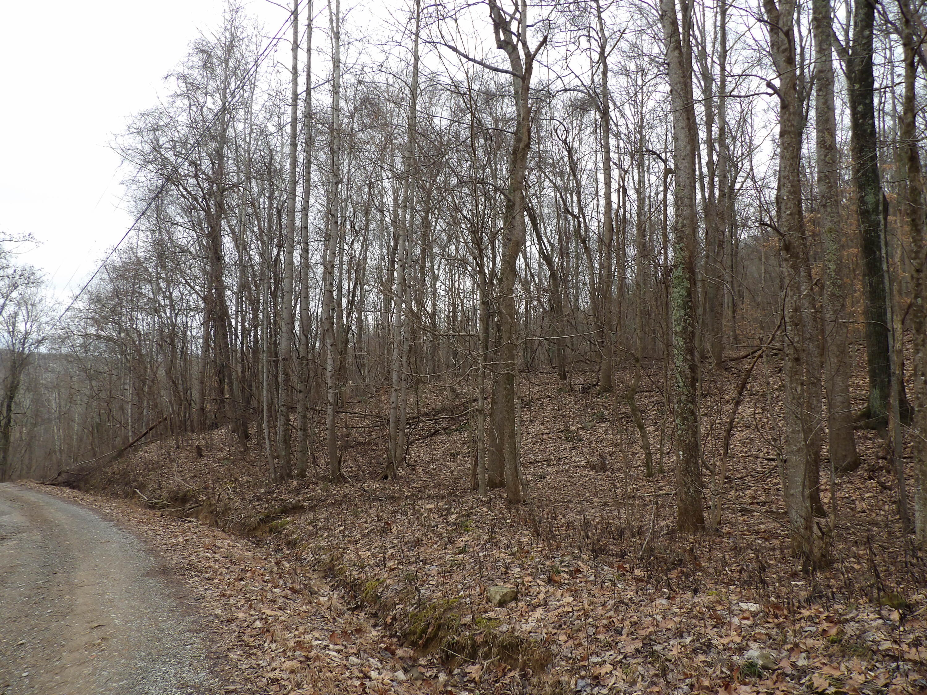 109 Cherokee Ridge Road, Unit 109 Pikeville, TN 37367 - Photo 1 of 10 100_5231