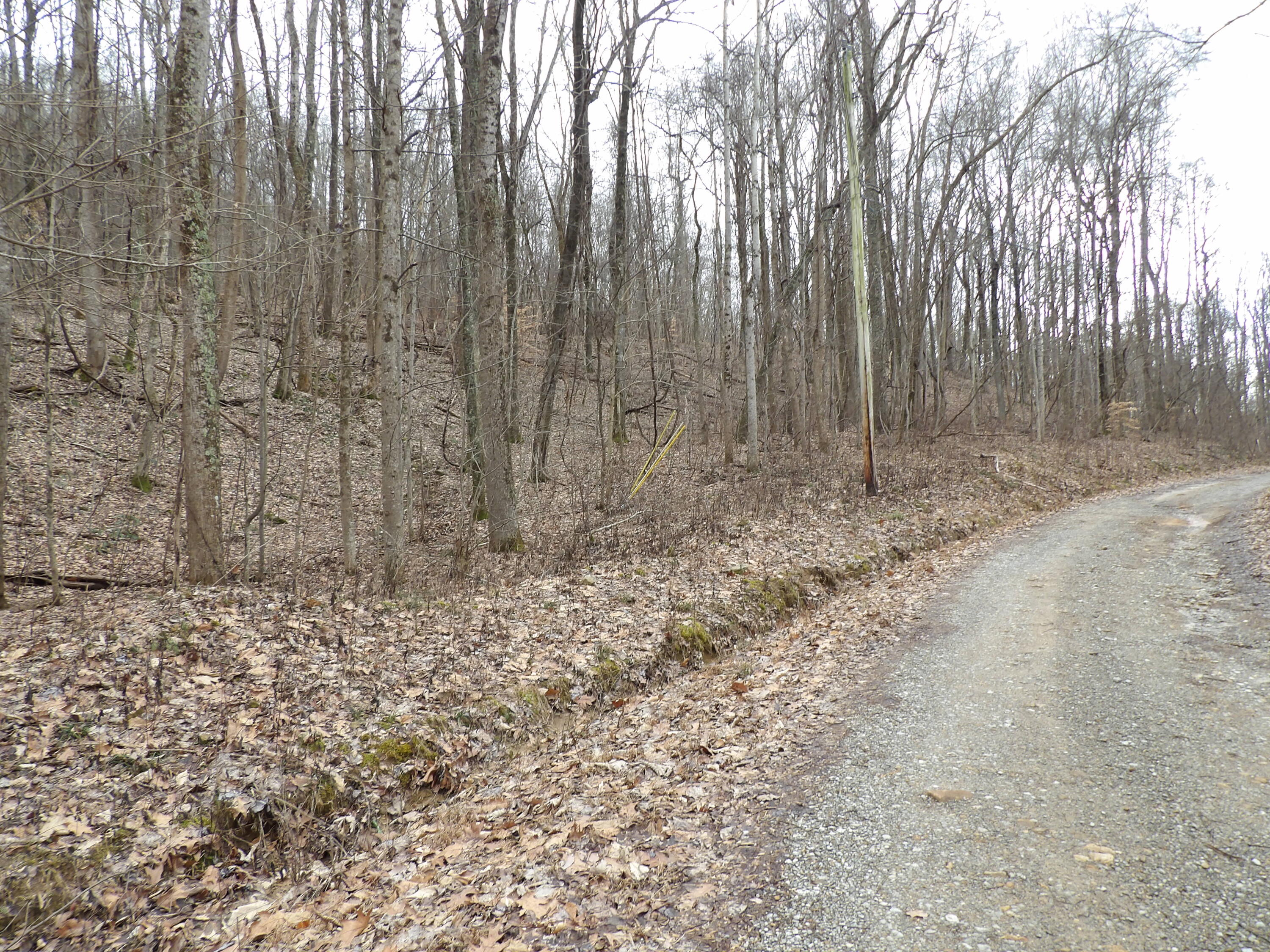 109 Cherokee Ridge Road, Unit 109 Pikeville, TN 37367 - Photo 3 of 10 100_5225