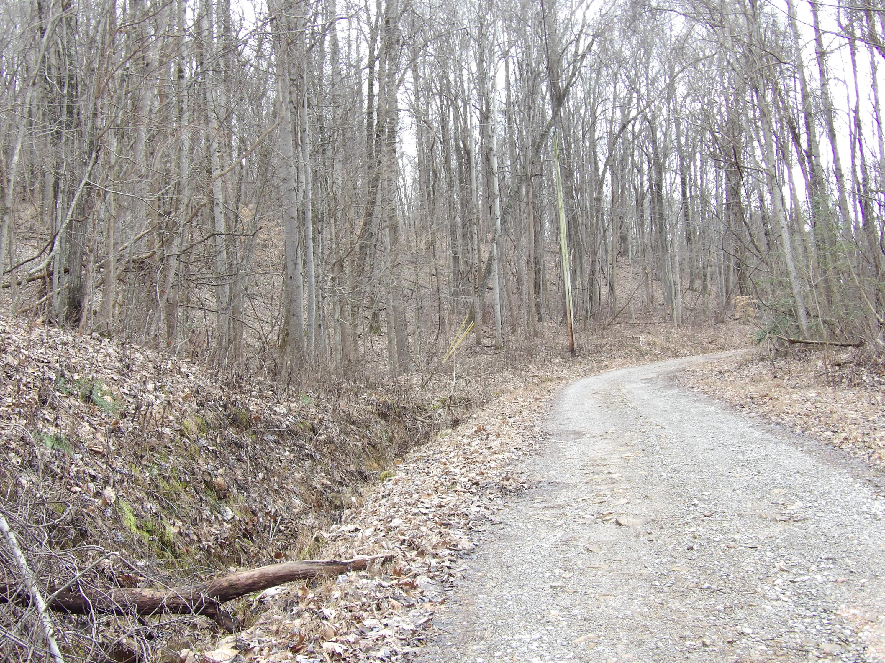 109 Cherokee Ridge Road, Unit 109 Pikeville, TN 37367 - Photo 10 of 10 100_5223
