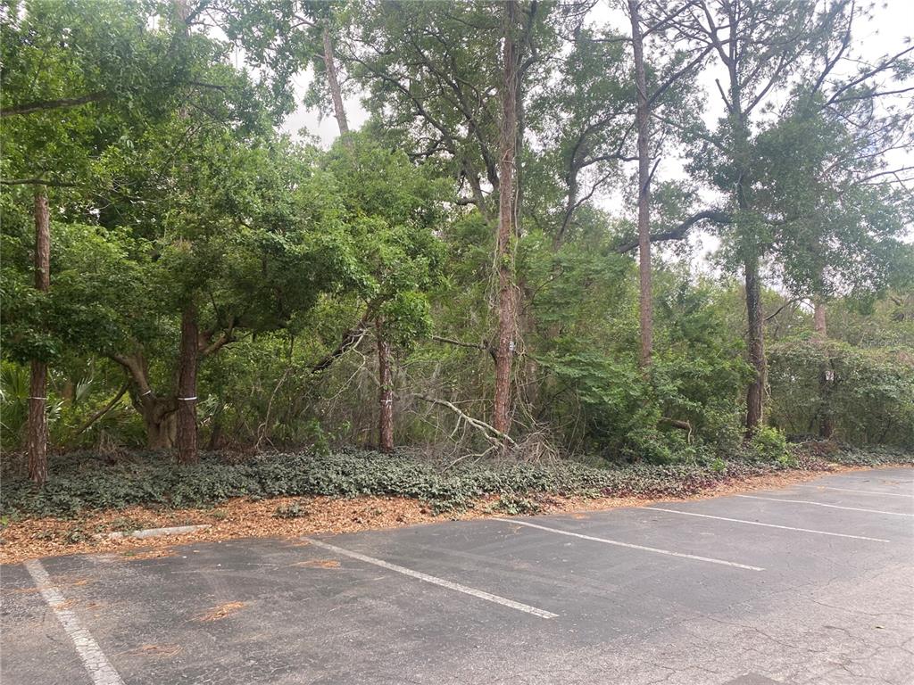 Indiana Avenue New Port Richey, FL 34653 - Photo 2 of 4 a view of a field with trees in the background