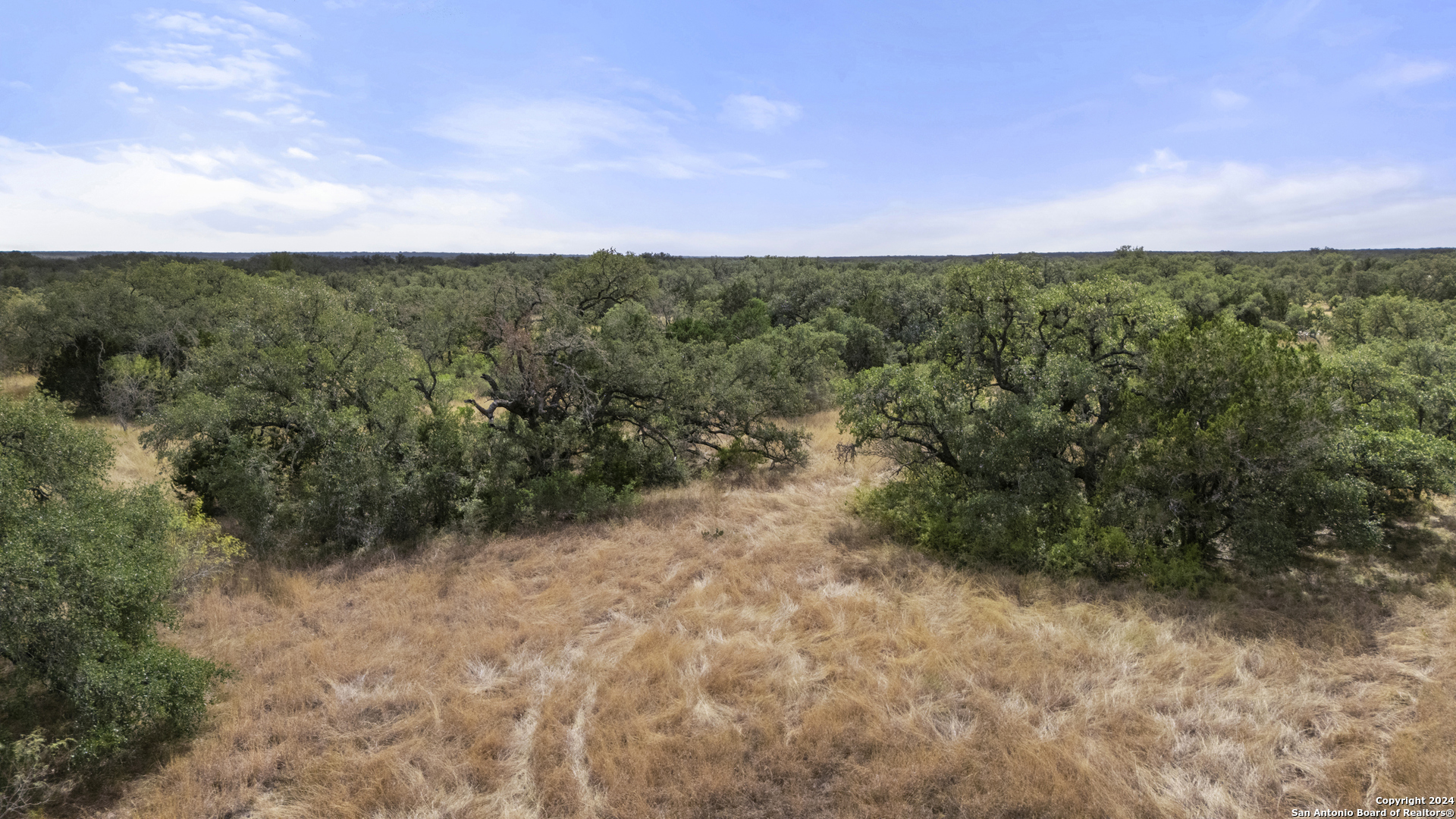 0 Fm 1796 D'Hanis, TX 78850 - Photo 25 of 30 a view of a field with trees in the background