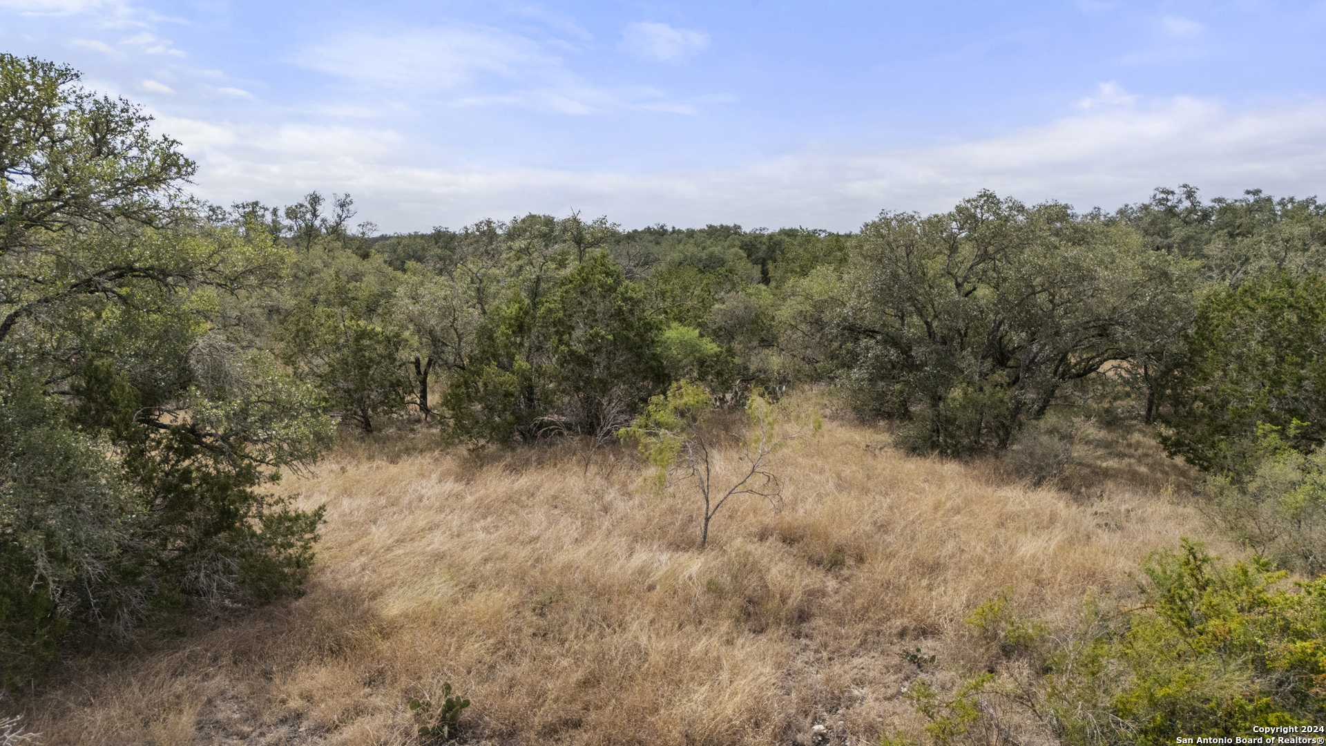 0 Fm 1796 D'Hanis, TX 78850 - Photo 27 of 30 a view of a city with lush green forest