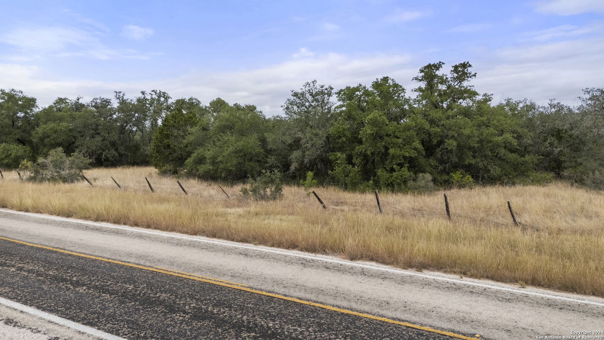 0 Fm 1796 D'Hanis, TX 78850 - Photo 28 of 30 a view of a yard with mountain view