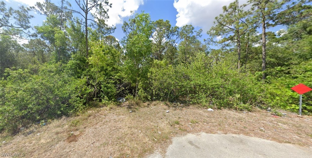 2011 Raber Court Lehigh Acres, FL 33972 - Photo 1 of 5 a view of a garden with plants and large trees
