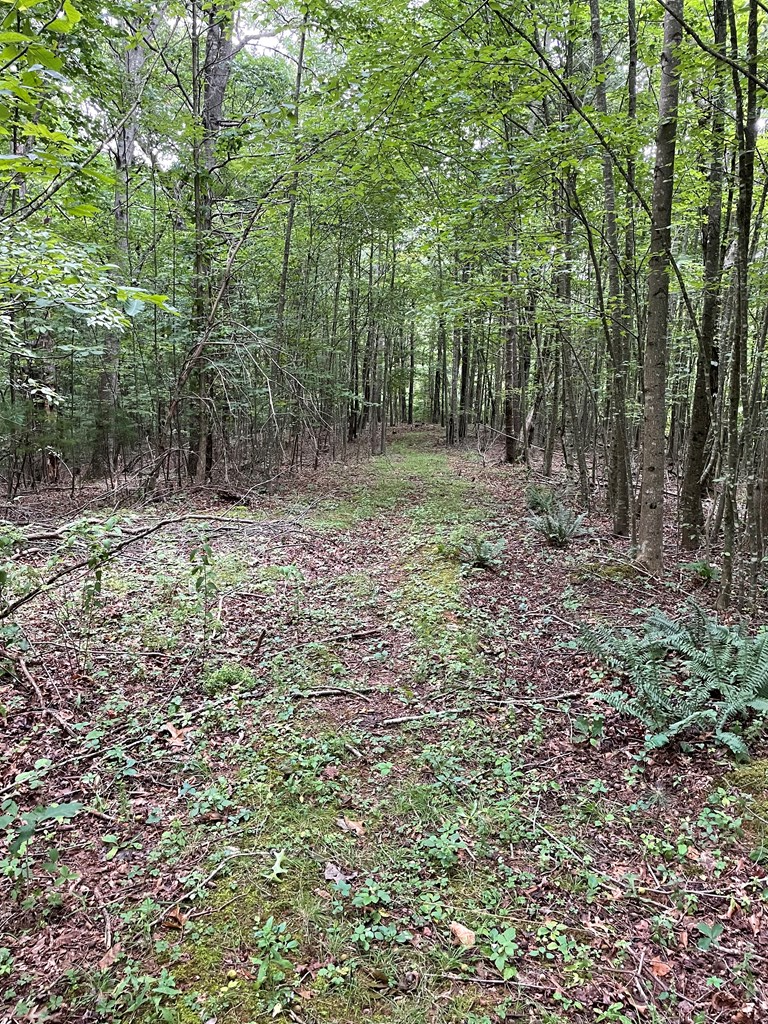 . Hemlock Ridge Road Hillsville, VA 24343 - Photo 15 of 17 Gallery Image 15