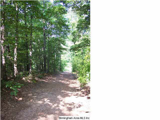 0 Silley Dean Road Northwest, Unit 277 AC Pinson, AL 35126 - Photo 3 of 19
