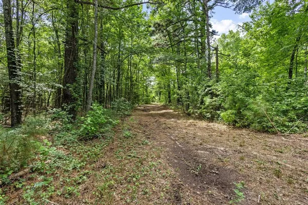 a view of outdoor space and trees all around
