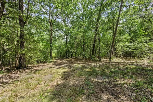 a big yard with lots of green space and trees