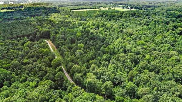 an aerial view of residential houses with outdoor space and trees