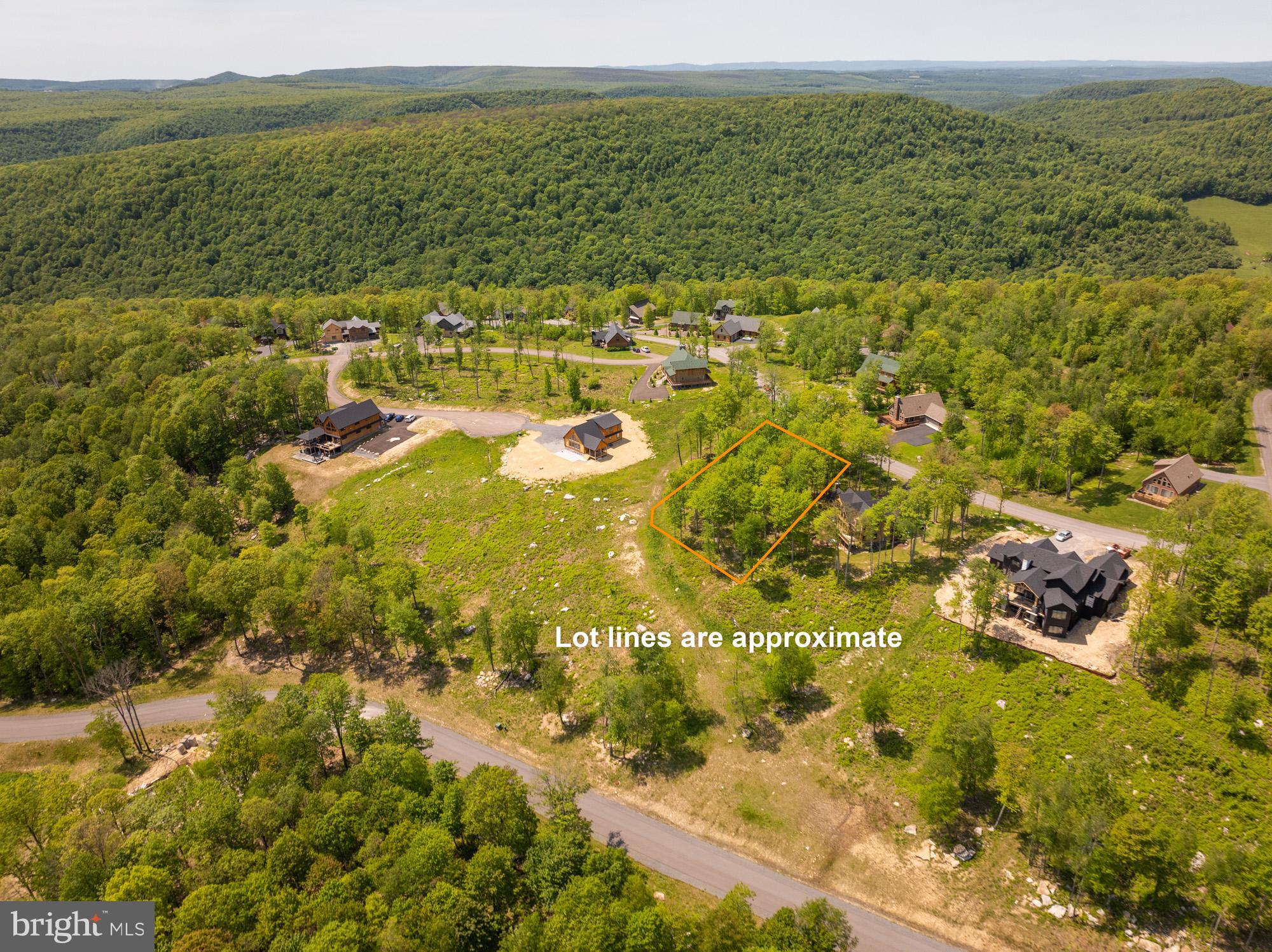 100 North Camp Road McHenry, MD 21541 - Photo 3 of 8