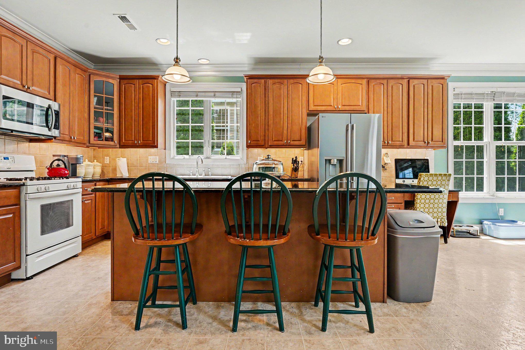 3836 Taylortown Road Furlong, PA 18925 - Photo 20 of 60 Gourmet Kitchen