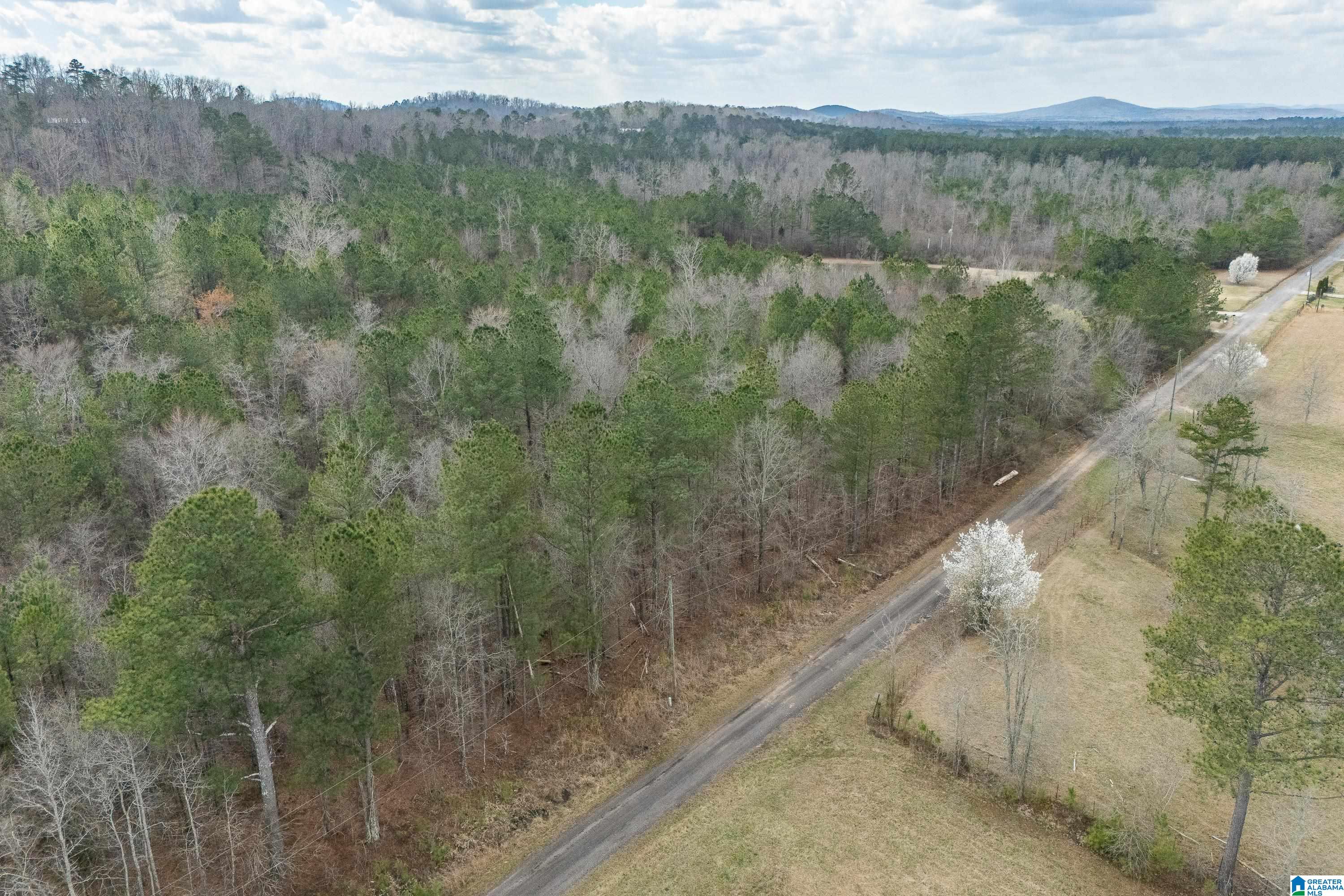 7 Fisher Phillips, Unit 7 Ashville, AL 35953 - Photo 16 of 28