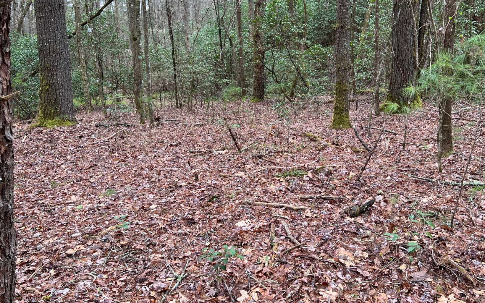 2.92 A Harrison Sluder Road Ellijay, GA 30540 - Photo 1 of 21 Main View