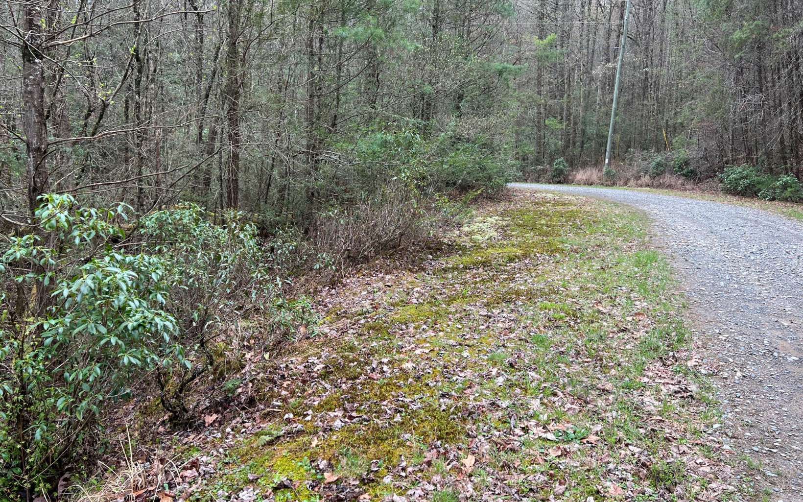 2.92 A Harrison Sluder Road Ellijay, GA 30540 - Photo 11 of 21 Additional View