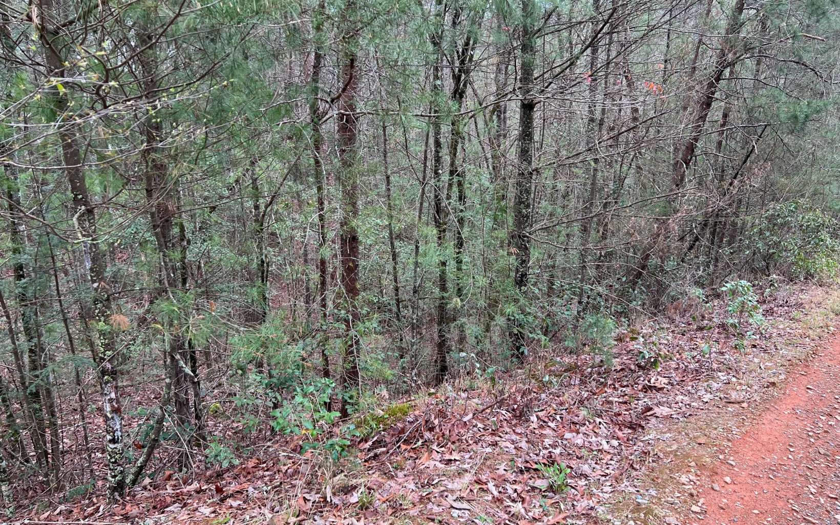 2.92 A Harrison Sluder Road Ellijay, GA 30540 - Photo 13 of 21 Additional View