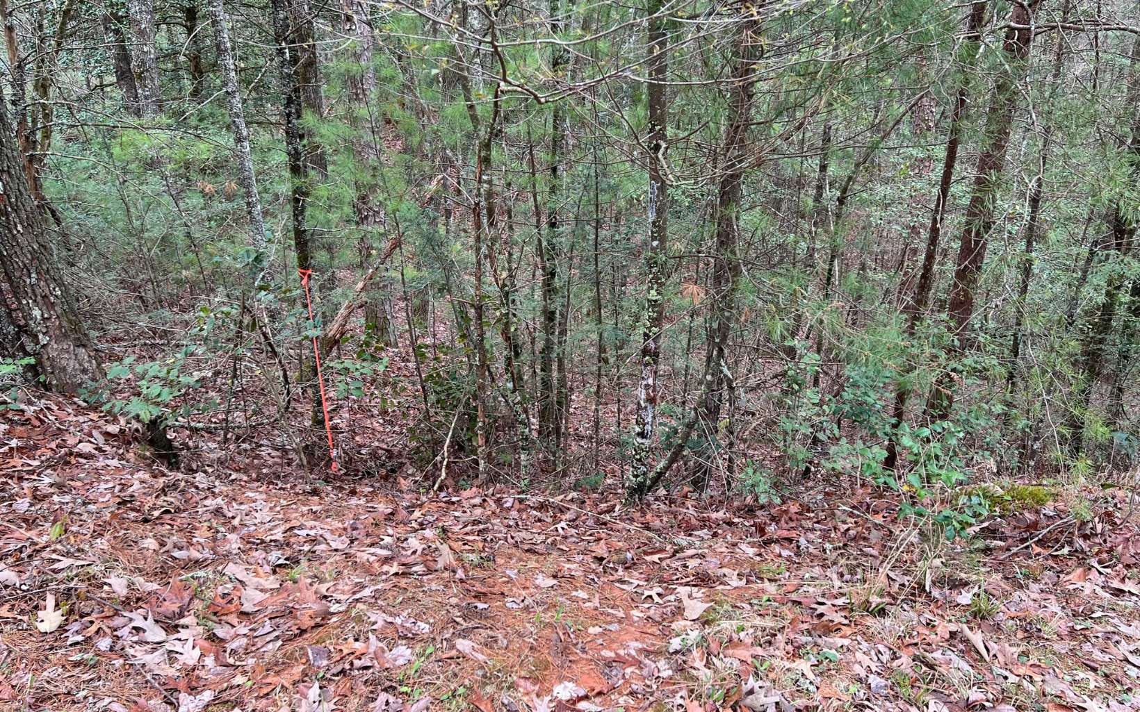2.92 A Harrison Sluder Road Ellijay, GA 30540 - Photo 15 of 21 Additional View