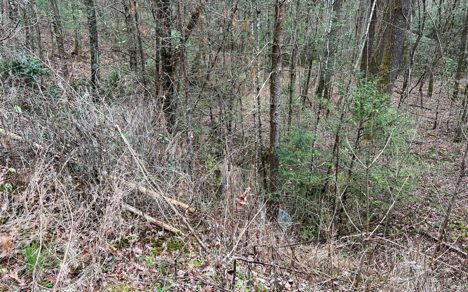 2.92 A Harrison Sluder Road Ellijay, GA 30540 - Photo 16 of 21 Additional View