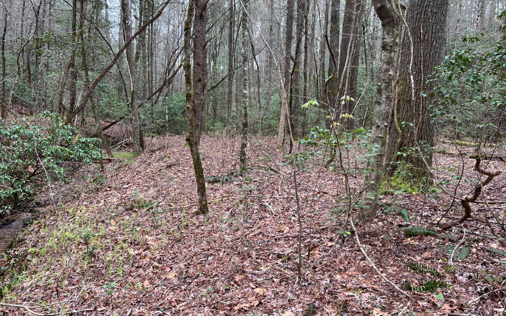 2.92 A Harrison Sluder Road Ellijay, GA 30540 - Photo 20 of 21 Additional View