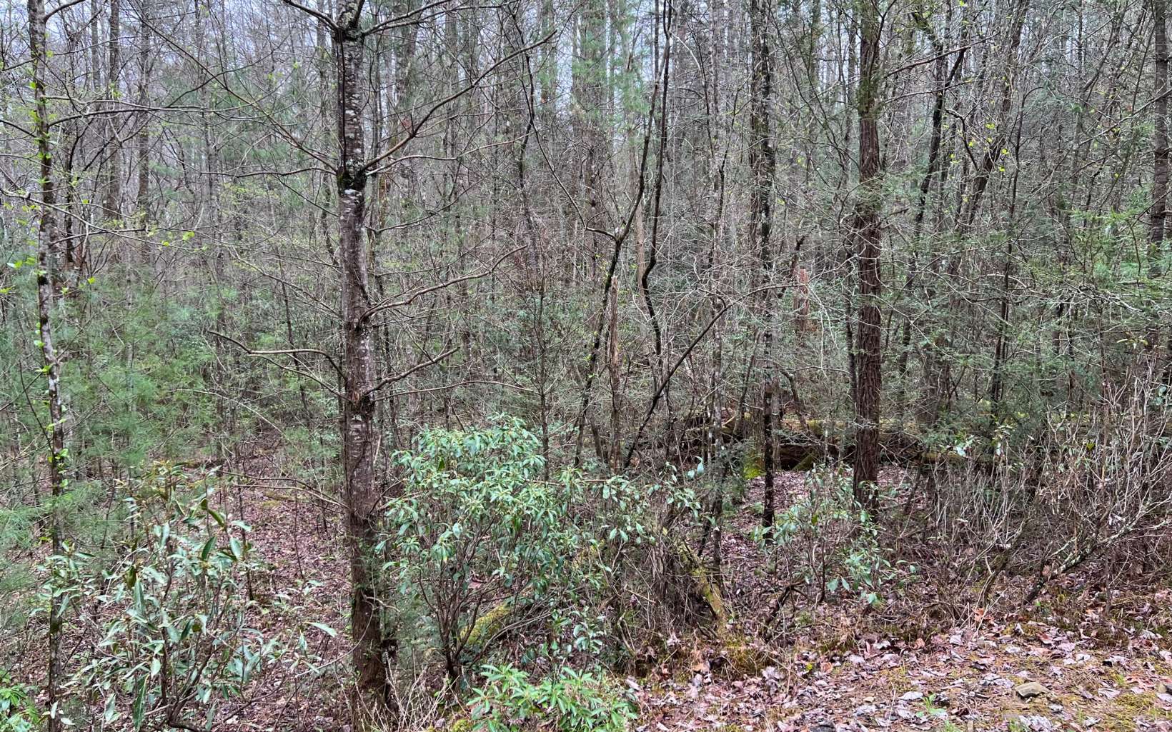 2.92 A Harrison Sluder Road Ellijay, GA 30540 - Photo 21 of 21 Additional View