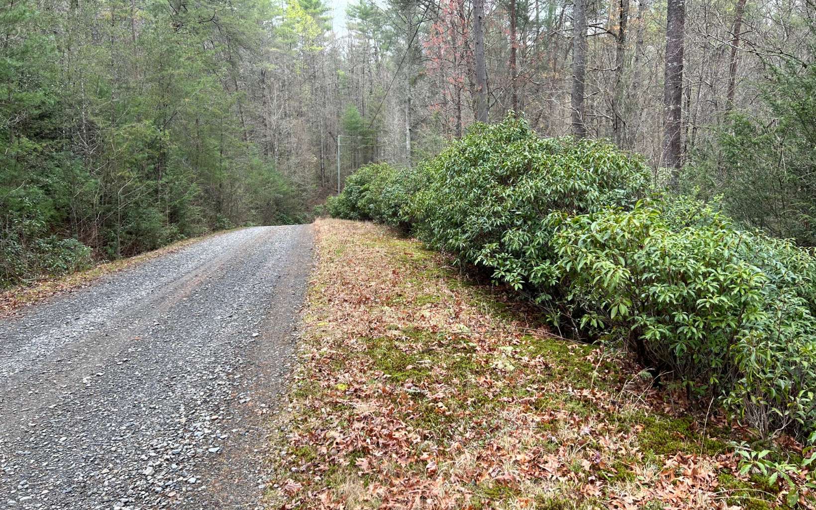 2.92 A Harrison Sluder Road Ellijay, GA 30540 - Photo 4 of 21 Additional View