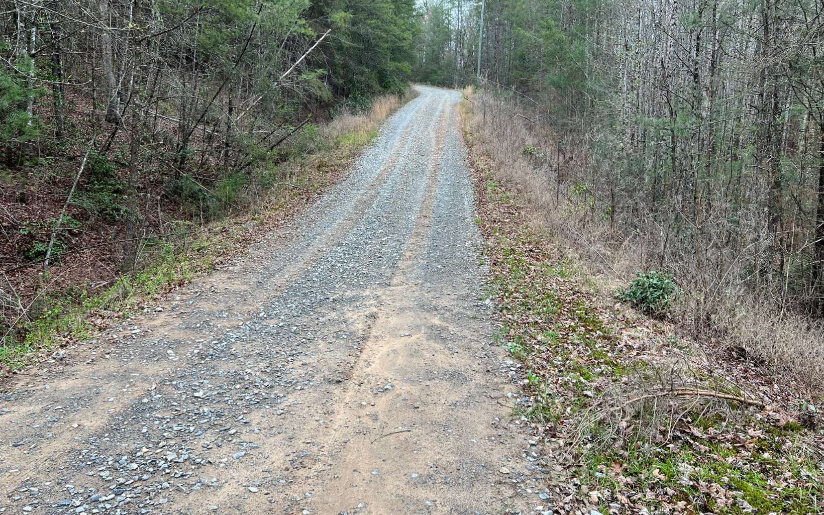 2.92 A Harrison Sluder Road Ellijay, GA 30540 - Photo 5 of 21 Additional View