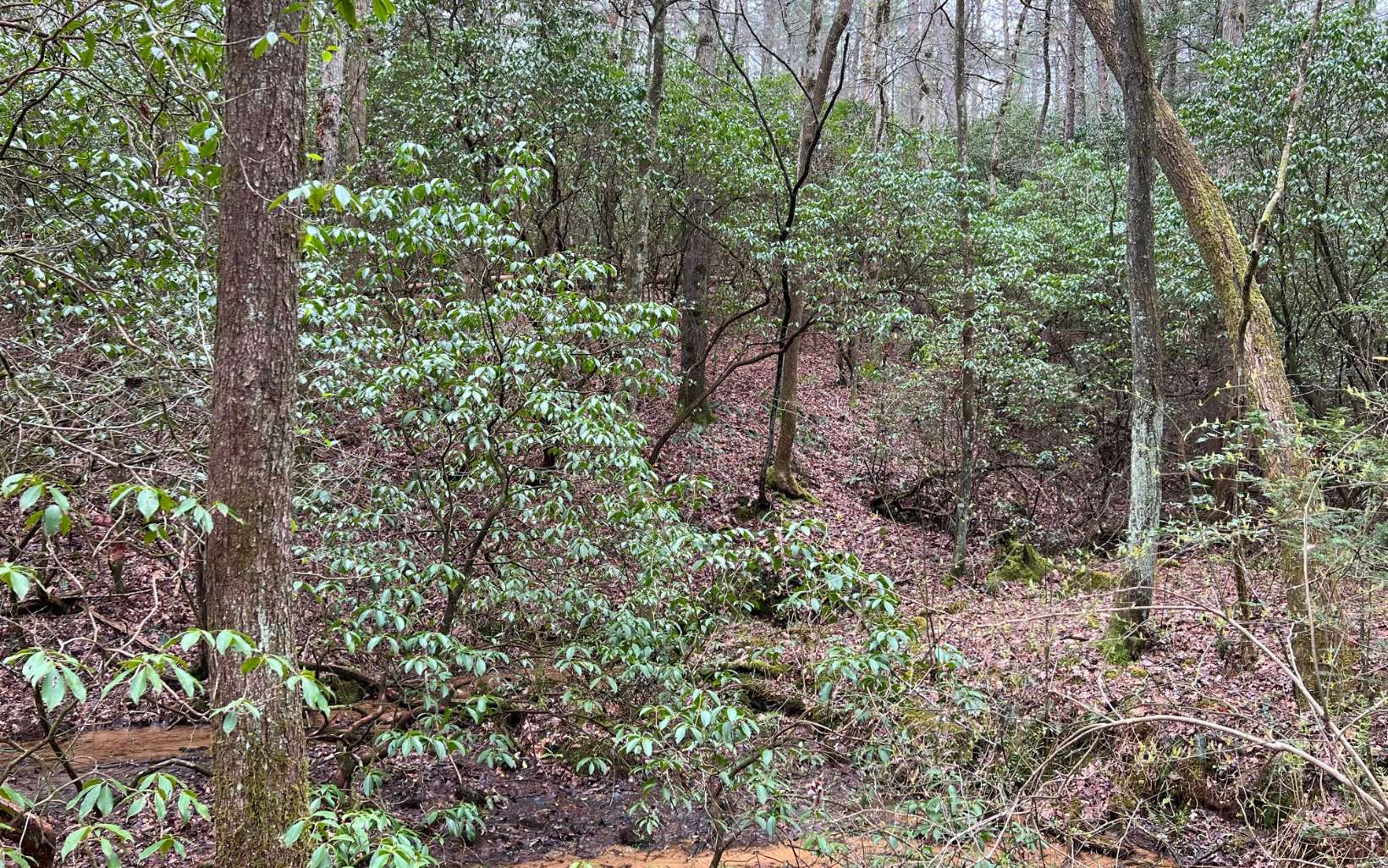 2.92 A Harrison Sluder Road Ellijay, GA 30540 - Photo 7 of 21 Additional View