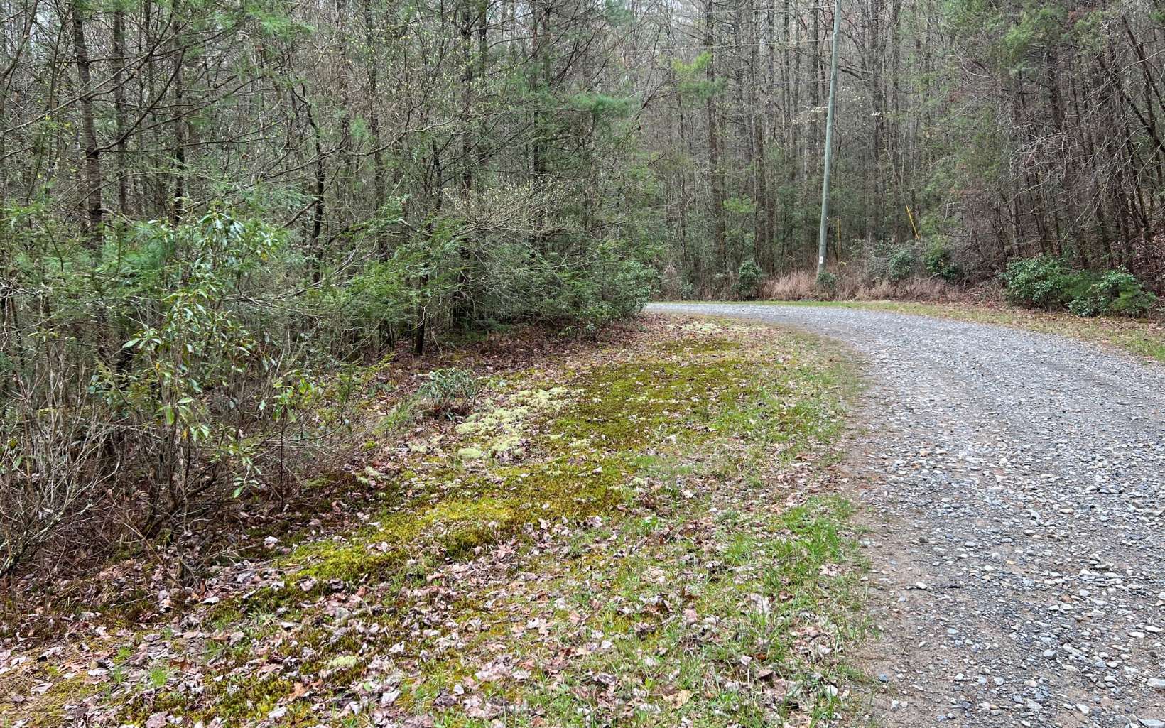 2.92 A Harrison Sluder Road Ellijay, GA 30540 - Photo 10 of 21 Additional View