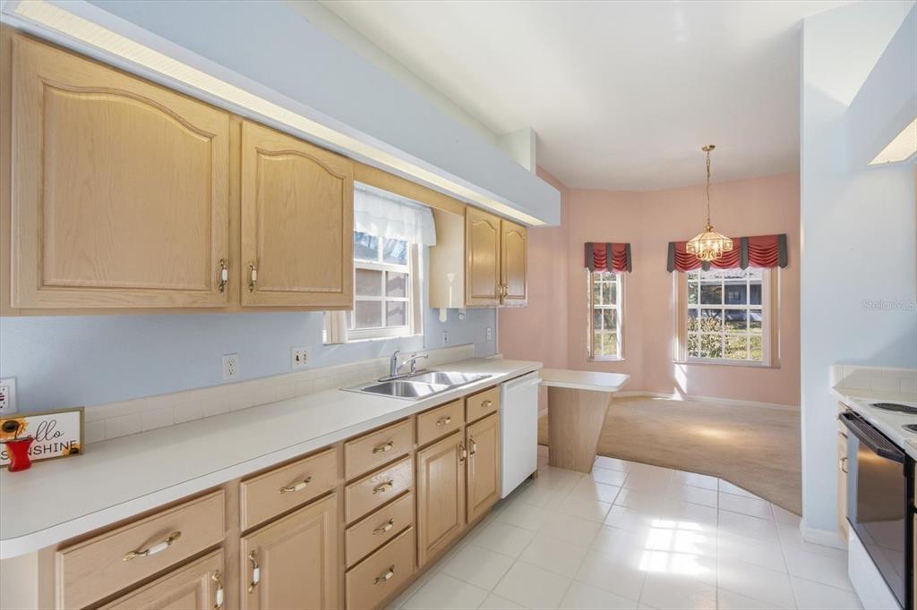 309 Baytree Boulevard Tavares, FL 32778 - Photo 3 of 28