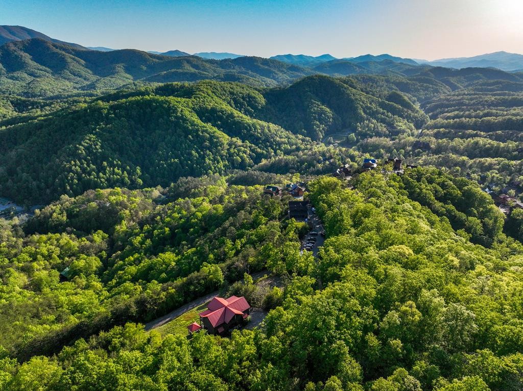1120 Eagle Pointe Way Sevierville, TN 37863 - Photo 36 of 37