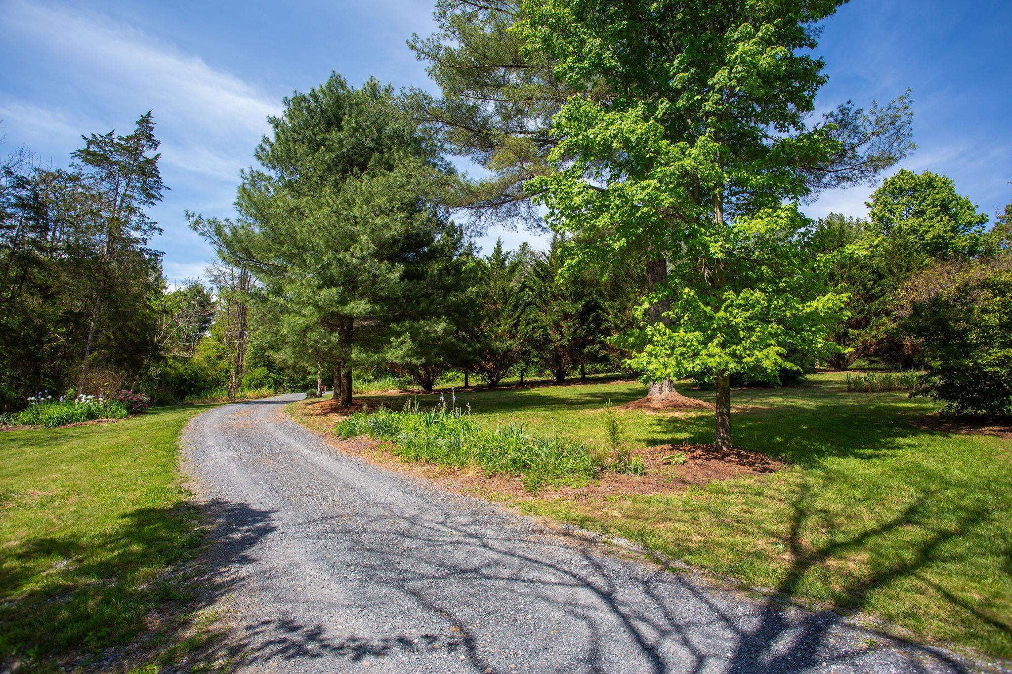 131 Rural Drive Mount Solon, VA 22843 - Photo 33 of 58 your new home!