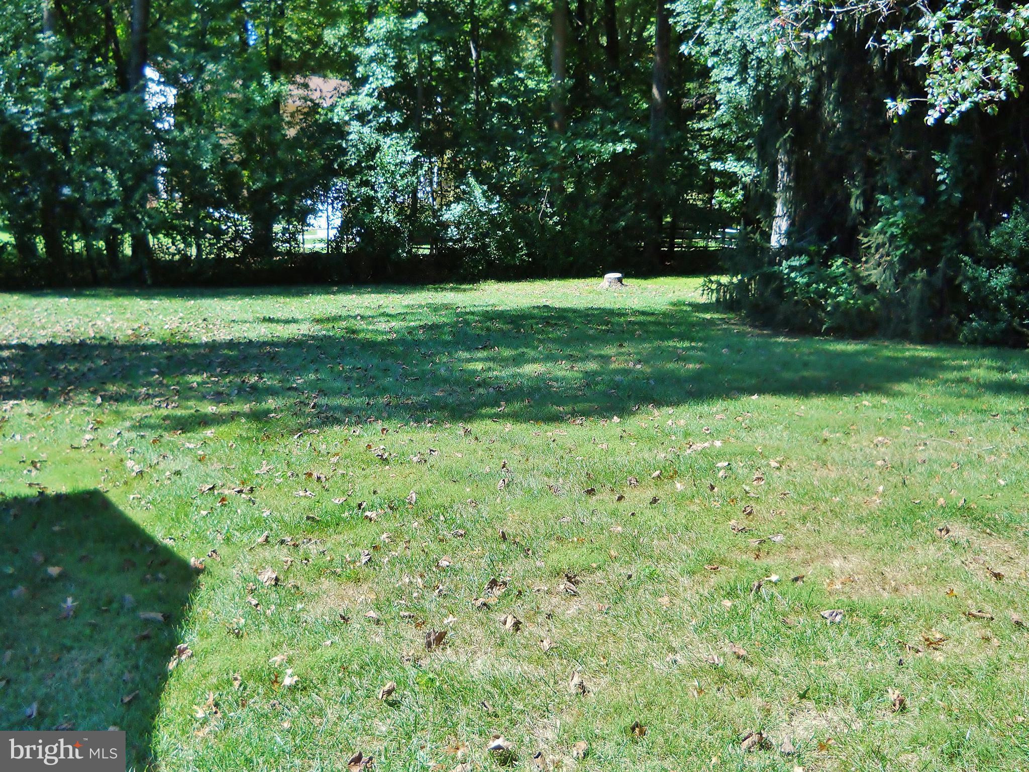 7930 Belgaro Road Laurel, MD 20723 - Photo 13 of 30 .46 Acre Property backs to trees