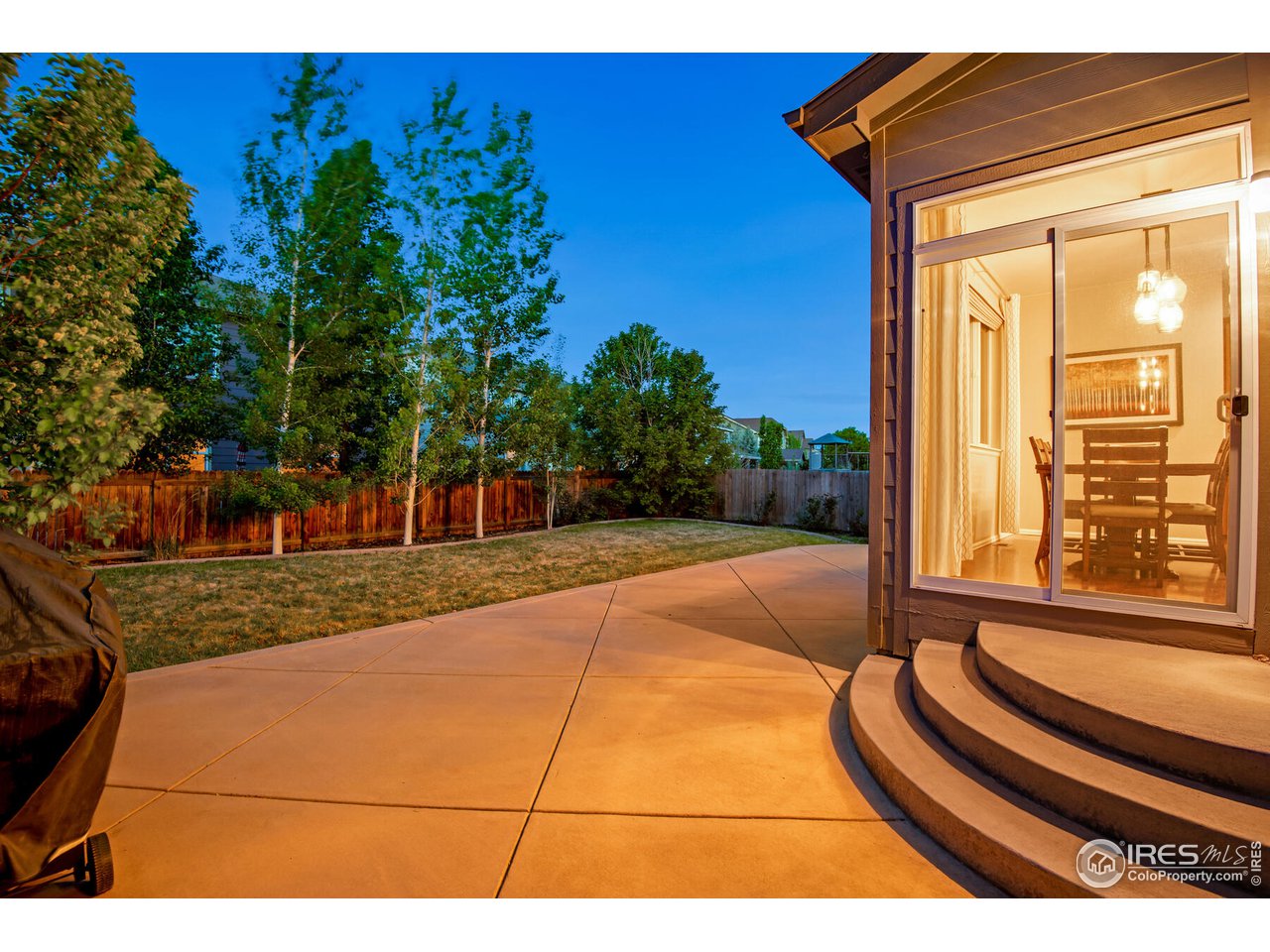 5762 Graphite Street Timnath, CO 80547 - Photo 2 of 27 a view of backyard with trampoline