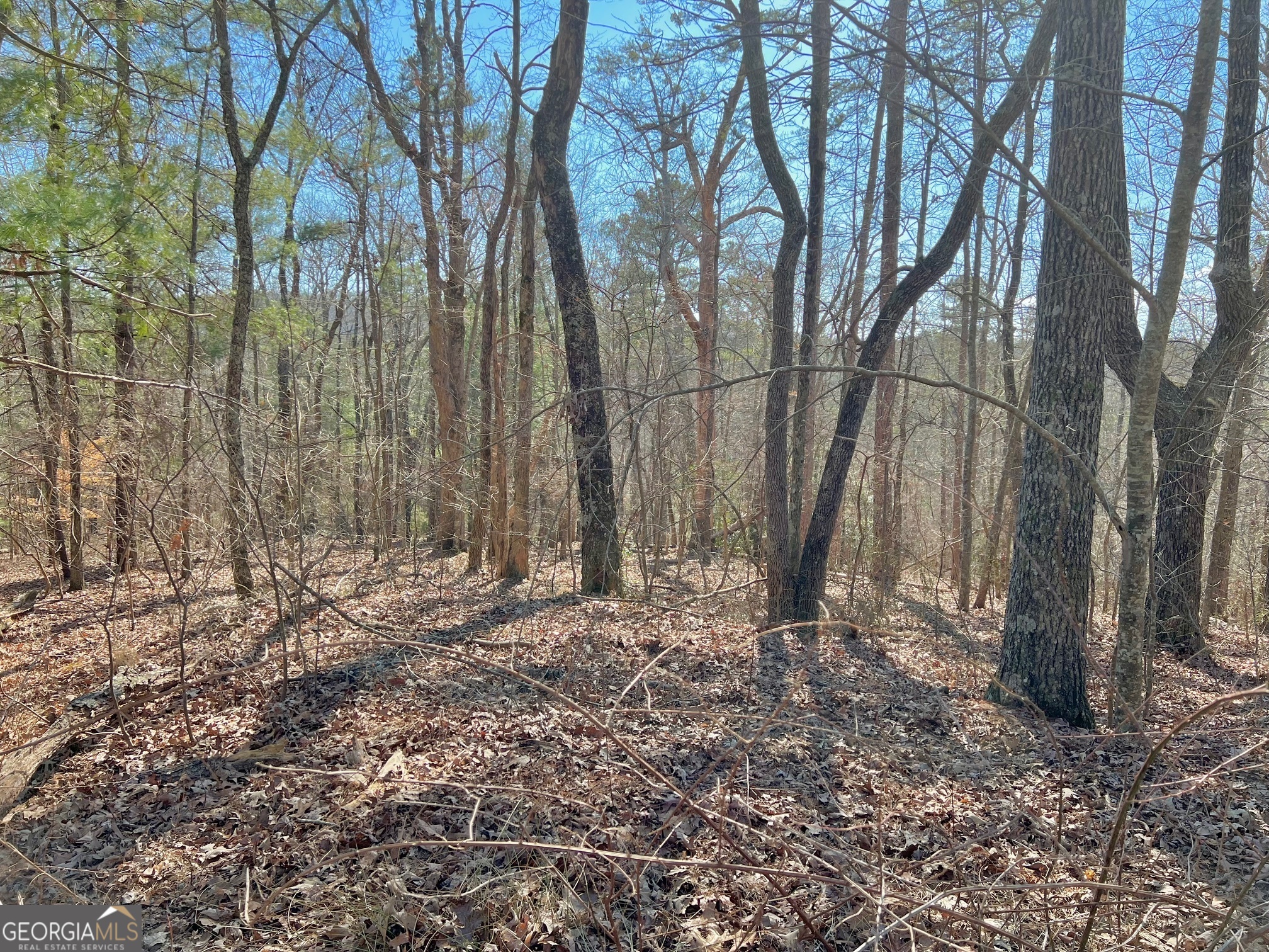 113 Beech Tree Drive Ellijay, GA 30540 - Photo 1 of 22