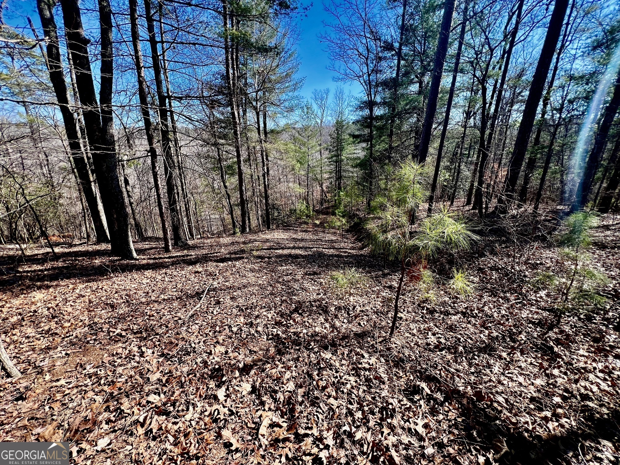 113 Beech Tree Drive Ellijay, GA 30540 - Photo 12 of 22