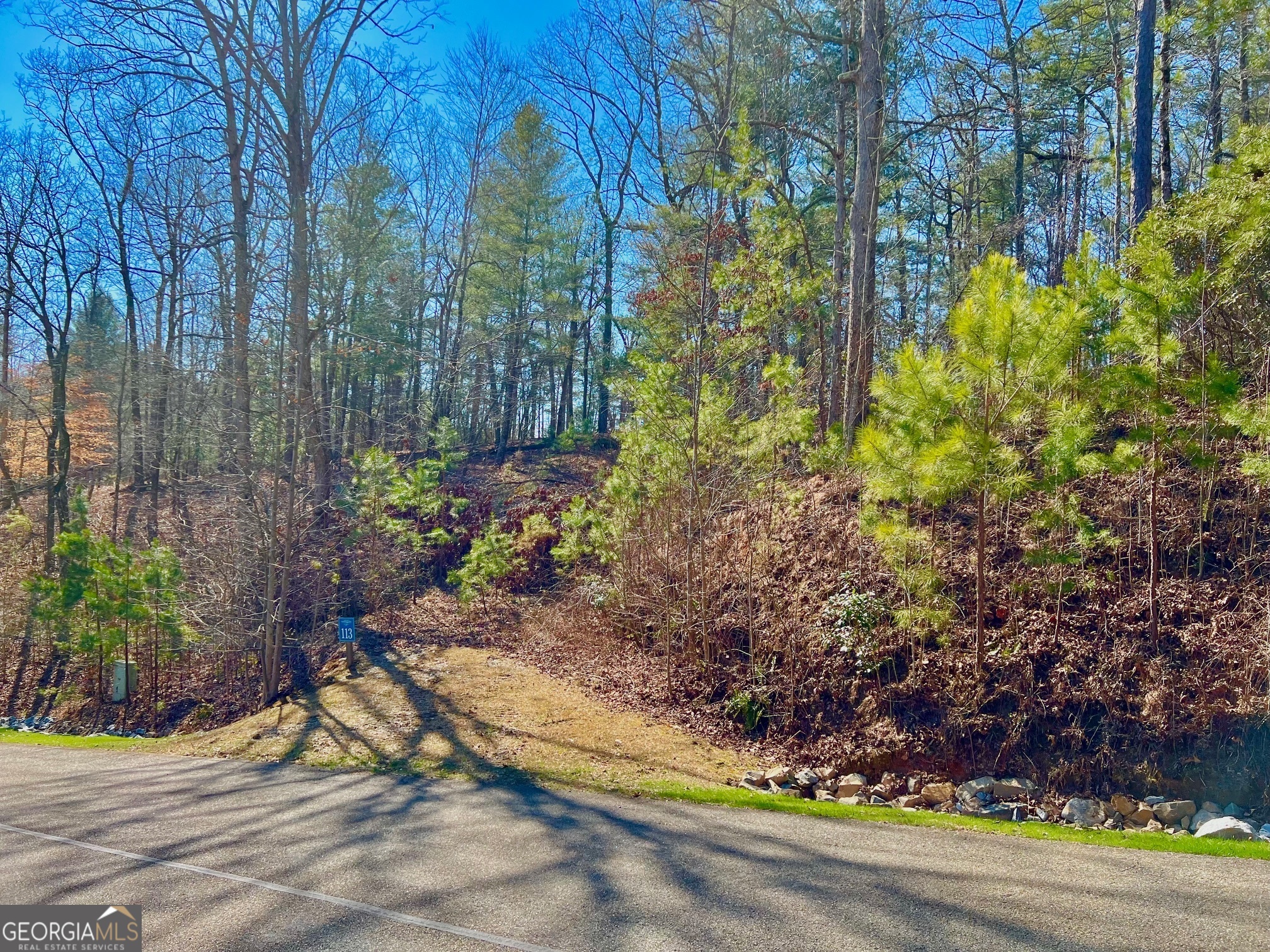 113 Beech Tree Drive Ellijay, GA 30540 - Photo 14 of 22