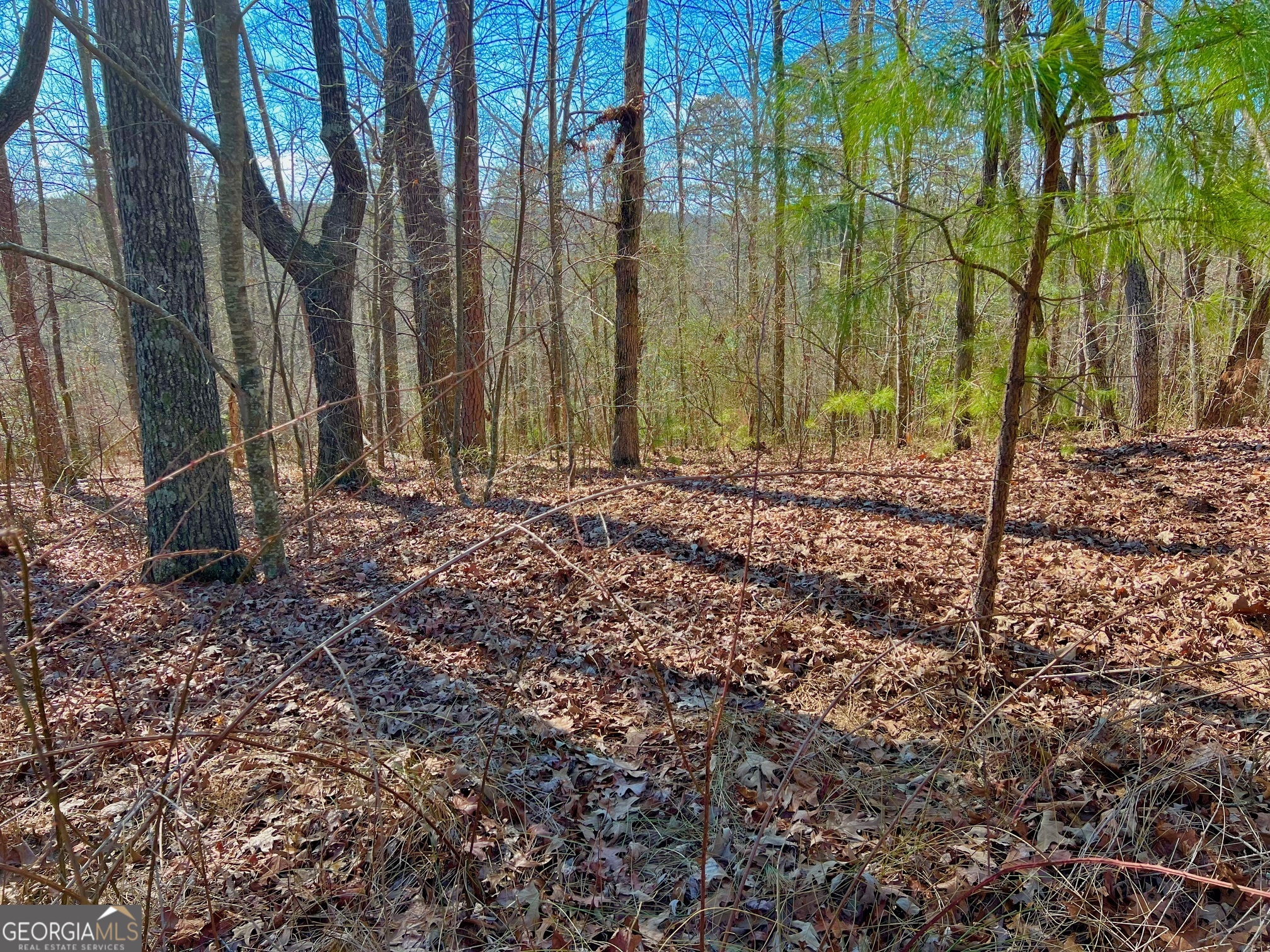 113 Beech Tree Drive Ellijay, GA 30540 - Photo 17 of 22