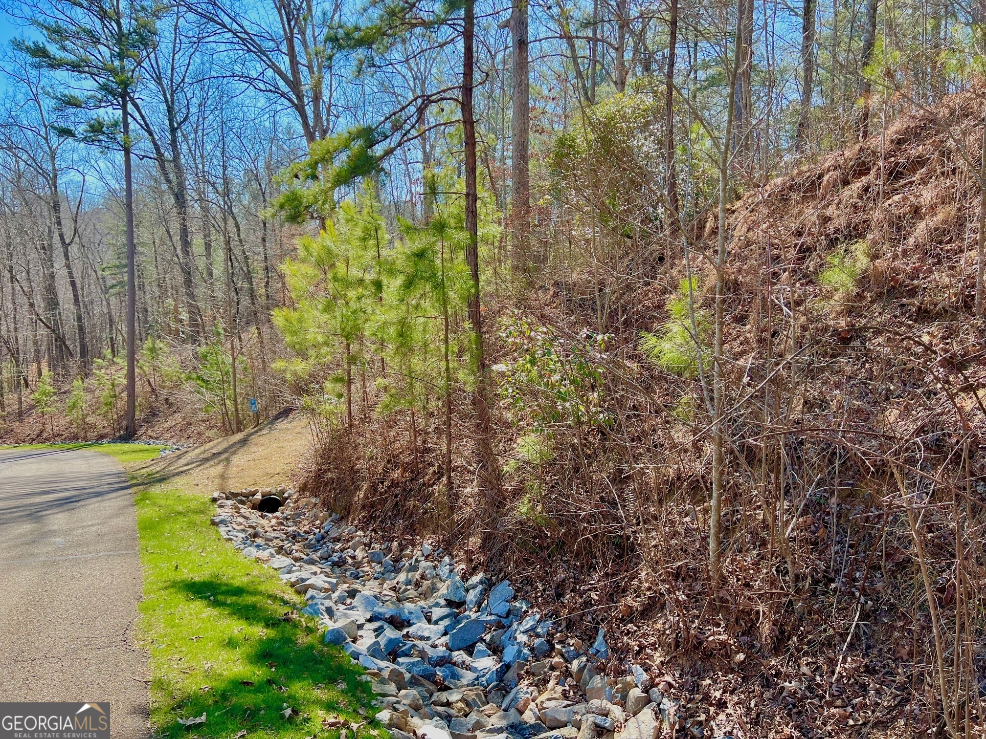 113 Beech Tree Drive Ellijay, GA 30540 - Photo 18 of 22