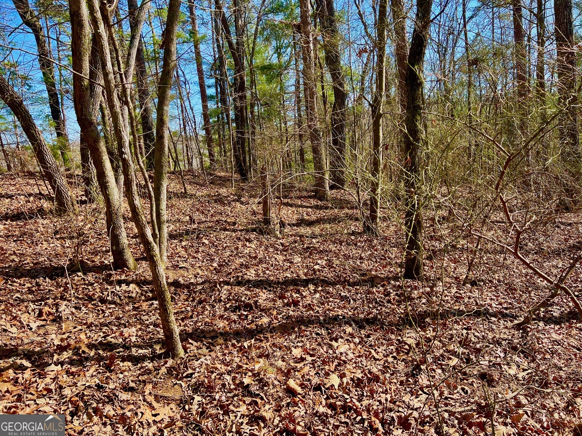 113 Beech Tree Drive Ellijay, GA 30540 - Photo 19 of 22