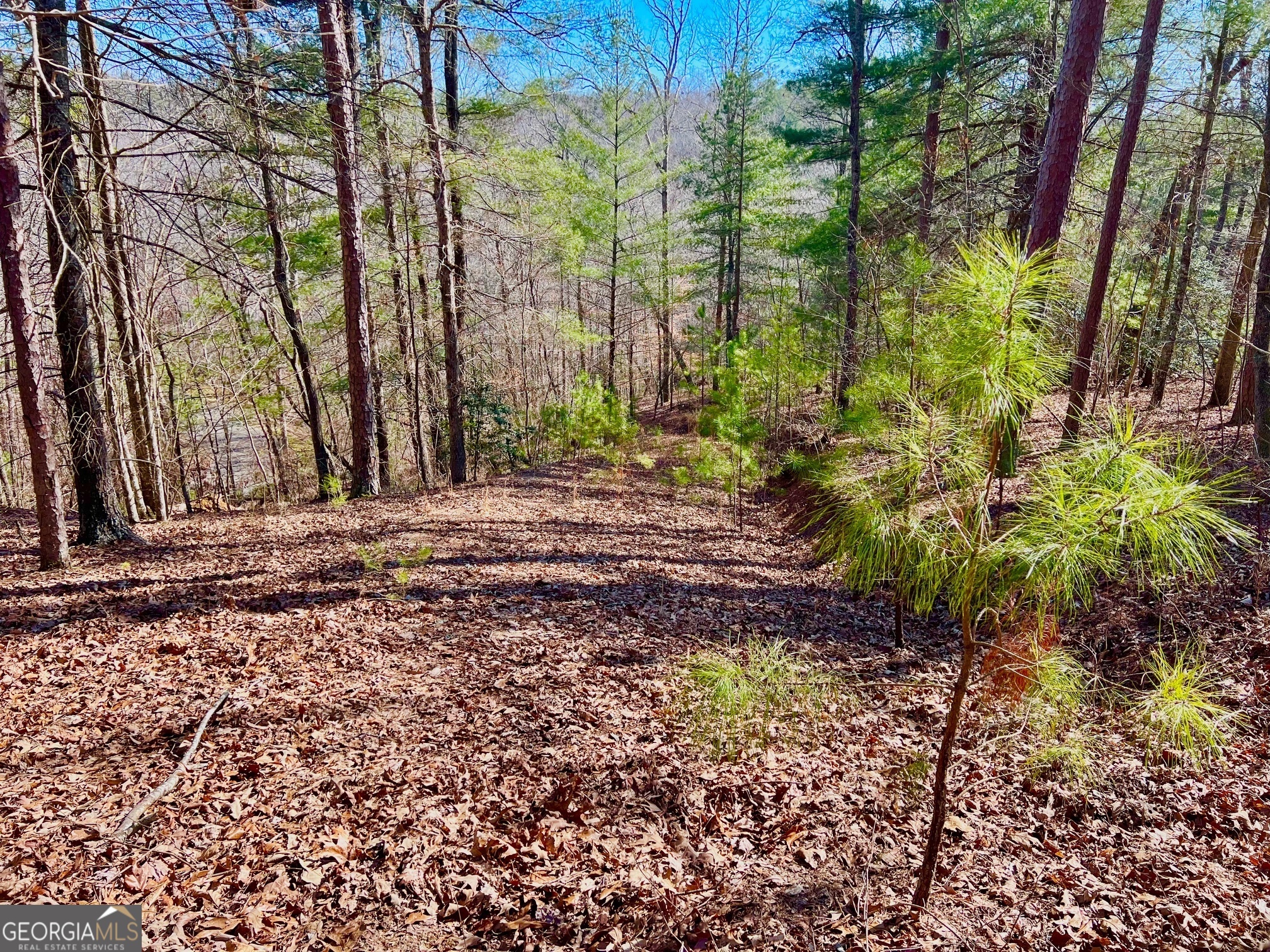 113 Beech Tree Drive Ellijay, GA 30540 - Photo 20 of 22