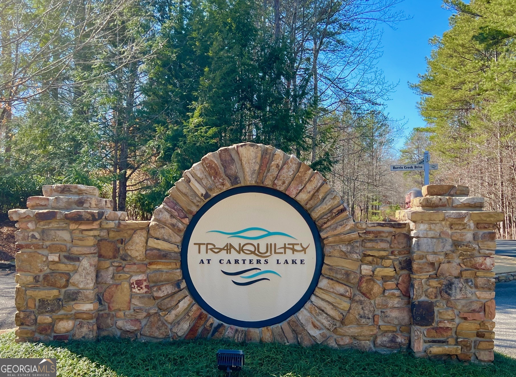 113 Beech Tree Drive Ellijay, GA 30540 - Photo 2 of 22