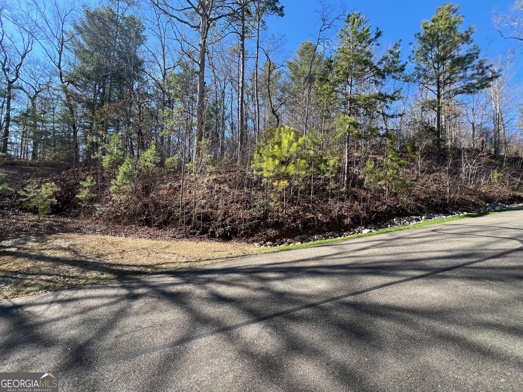 113 Beech Tree Drive Ellijay, GA 30540 - Photo 22 of 22