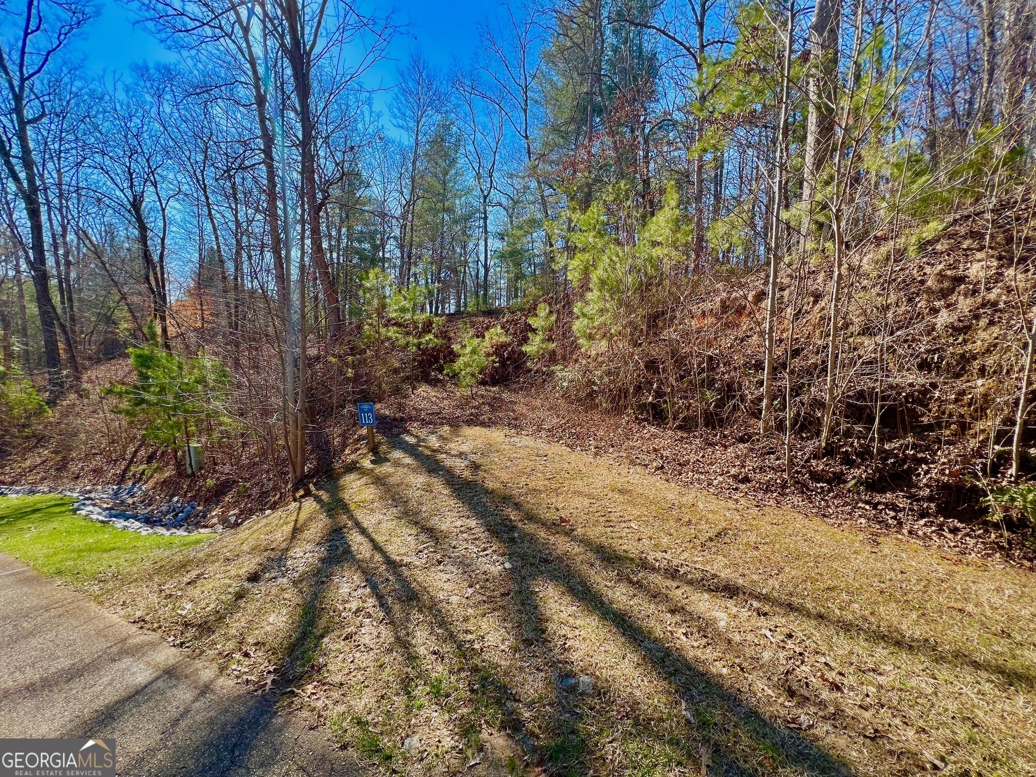 113 Beech Tree Drive Ellijay, GA 30540 - Photo 4 of 22