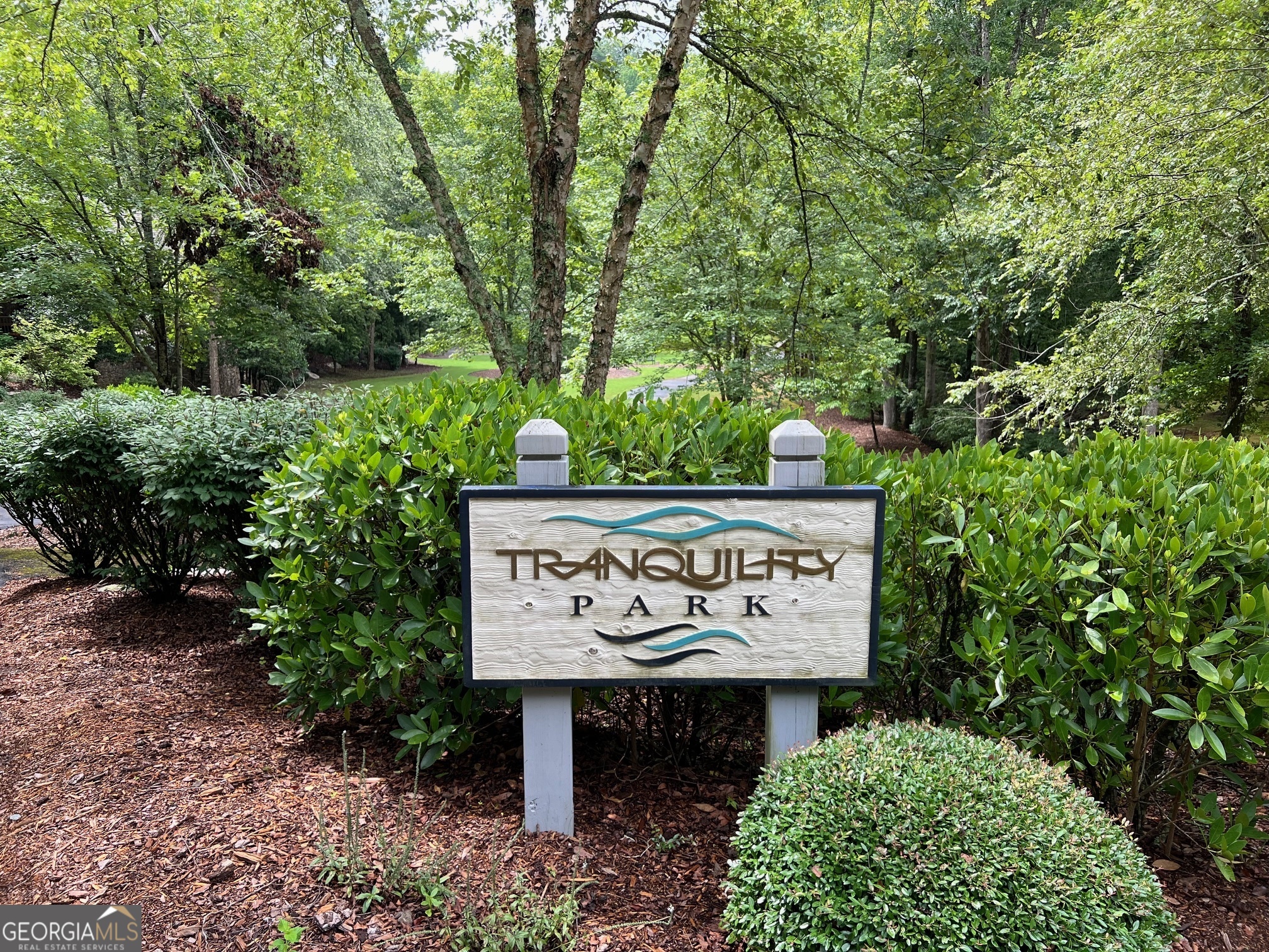 113 Beech Tree Drive Ellijay, GA 30540 - Photo 9 of 22